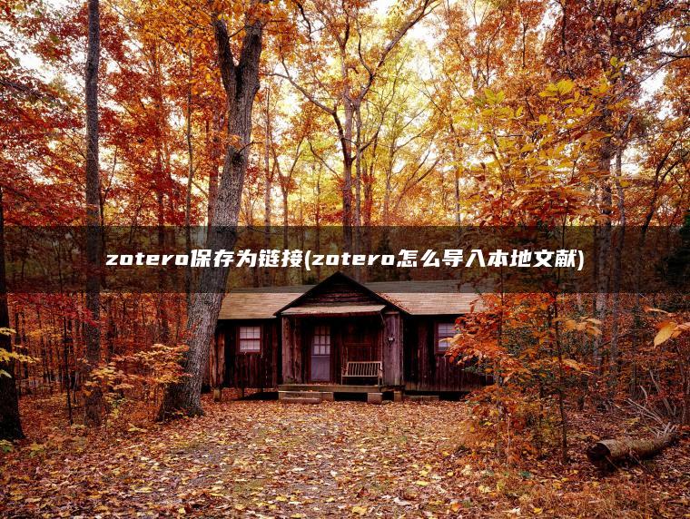 zotero保存为链接(zotero怎么导入本地文献)