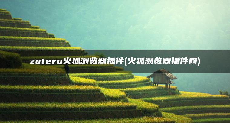 zotero火狐浏览器插件(火狐浏览器插件网)