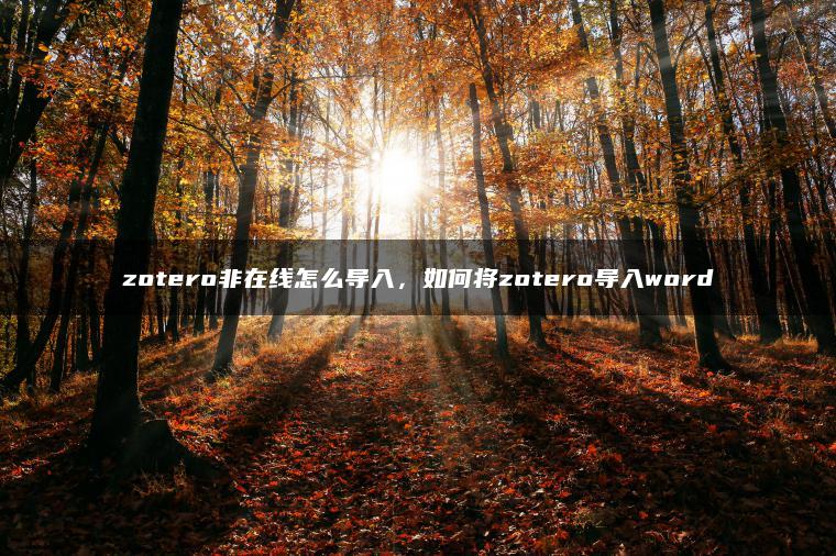 zotero非在线怎么导入，如何将zotero导入word
