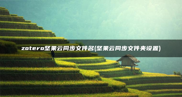 zotero坚果云同步文件名(坚果云同步文件夹设置)