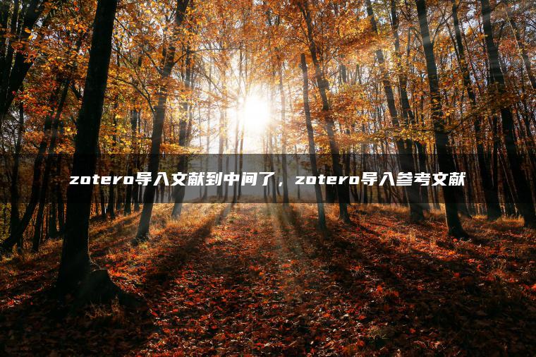 zotero导入文献到中间了，zotero导入参考文献