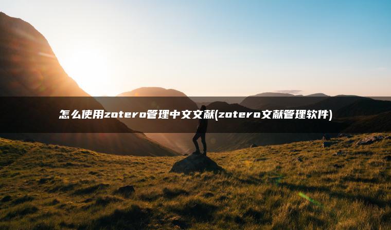 怎么使用zotero管理中文文献(zotero文献管理软件)