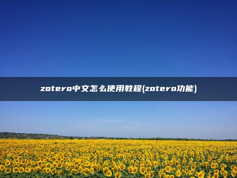 zotero中文怎么使用教程(zotero功能)