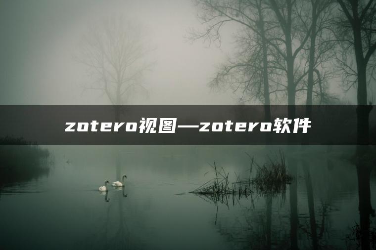 zotero视图—zotero软件