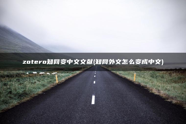 zotero知网变中文文献(知网外文怎么变成中文)