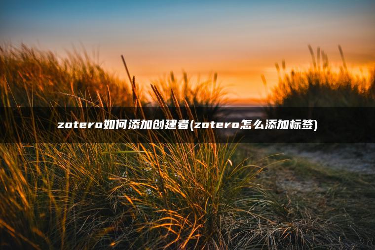 zotero如何添加创建者(zotero怎么添加标签)