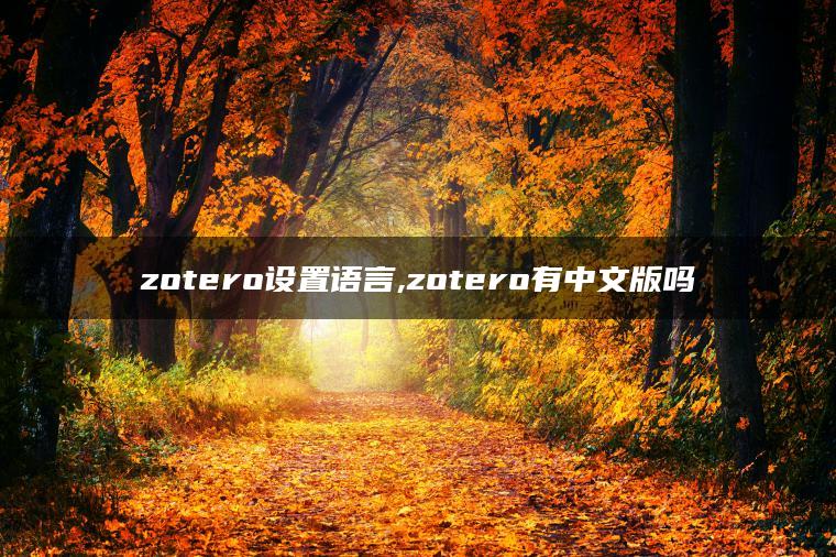 zotero设置语言,zotero有中文版吗