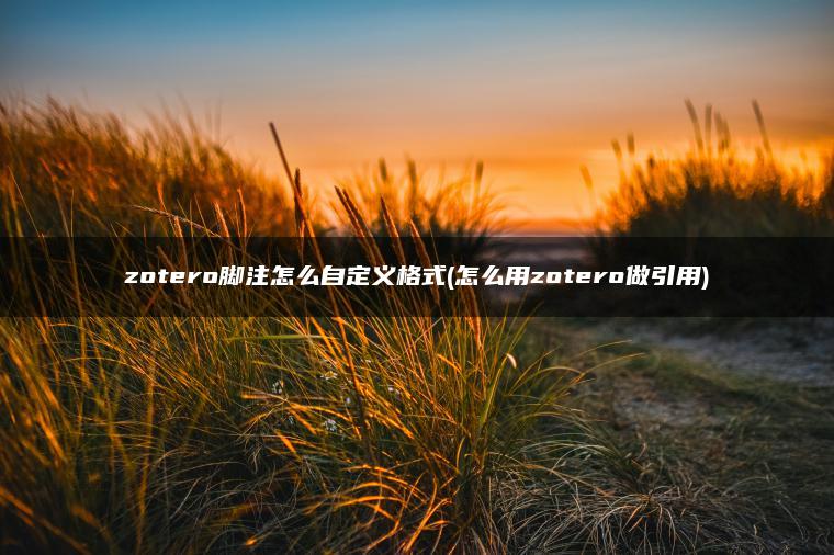 zotero脚注怎么自定义格式(怎么用zotero做引用)