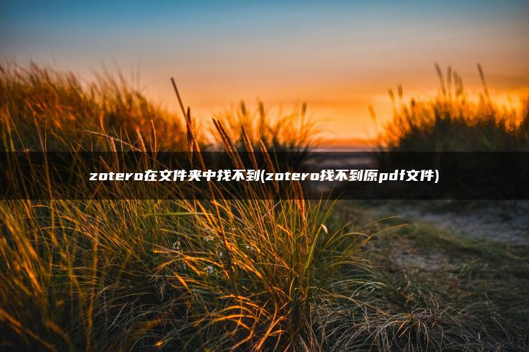 zotero在文件夹中找不到(zotero找不到原pdf文件)