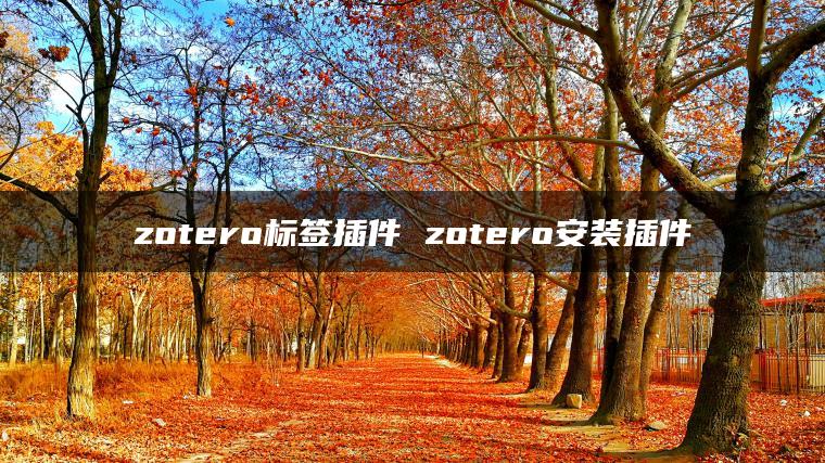zotero标签插件 zotero安装插件