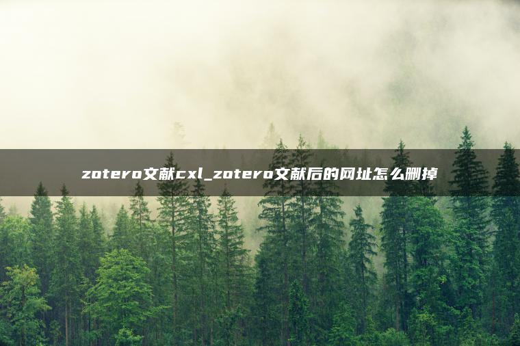 zotero文献cxl_zotero文献后的网址怎么删掉