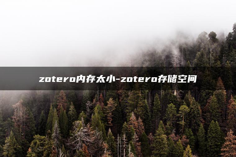 zotero内存太小-zotero存储空间