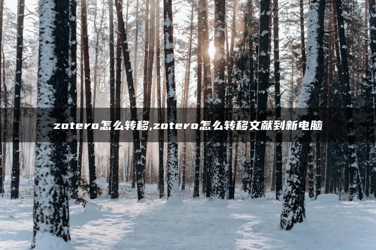 zotero怎么转移,zotero怎么转移文献到新电脑
