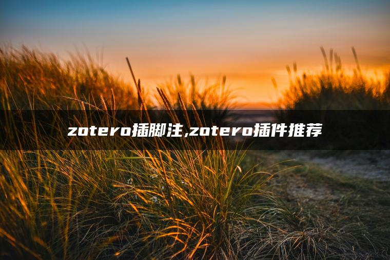 zotero插脚注,zotero插件推荐
