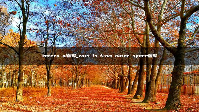 zotero ai翻译_zots is from outer space翻译