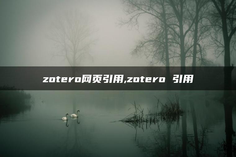 zotero网页引用,zotero 引用