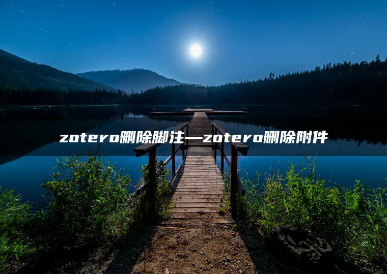 zotero删除脚注—zotero删除附件