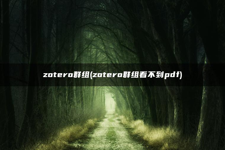 zotero群组(zotero群组看不到pdf)
