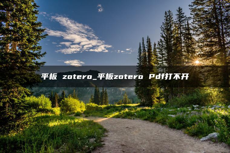 平板 zotero_平板zotero Pdf打不开