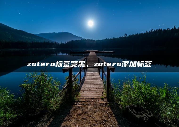 zotero标签变黑、zotero添加标签
