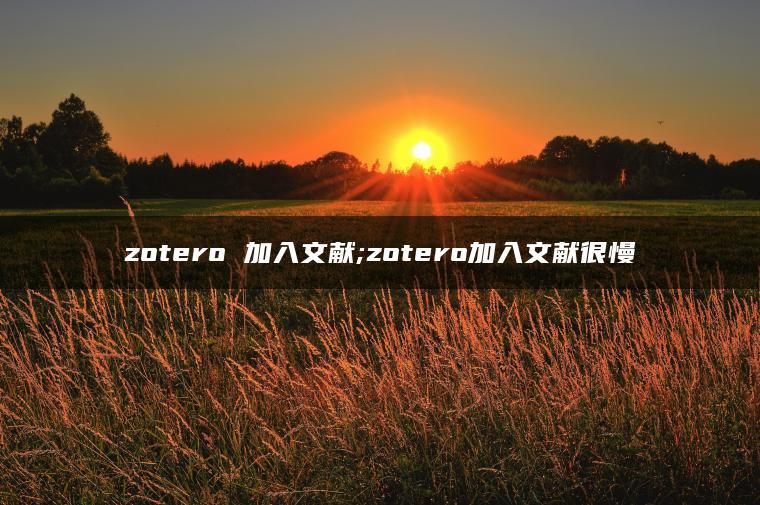 zotero 加入文献;zotero加入文献很慢