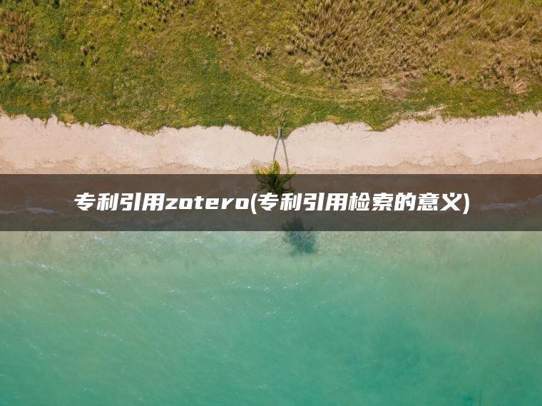 专利引用zotero(专利引用检索的意义)
