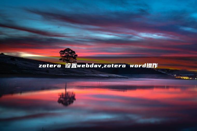 zotero 设置webdav,zotero word操作