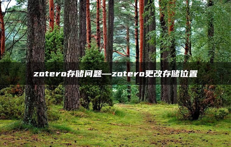 zotero存储问题—zotero更改存储位置