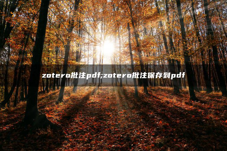 zotero批注pdf;zotero批注保存到pdf