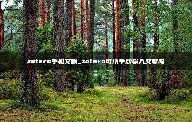 zotero手机文献_zotero可以手动输入文献吗