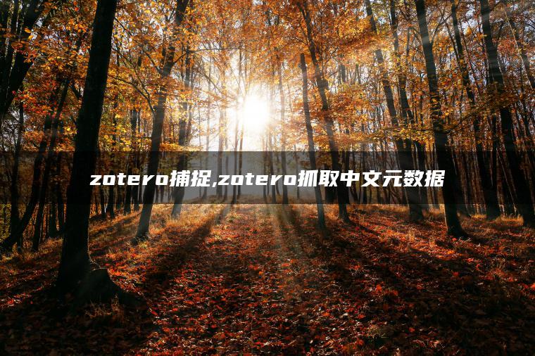 zotero捕捉,zotero抓取中文元数据