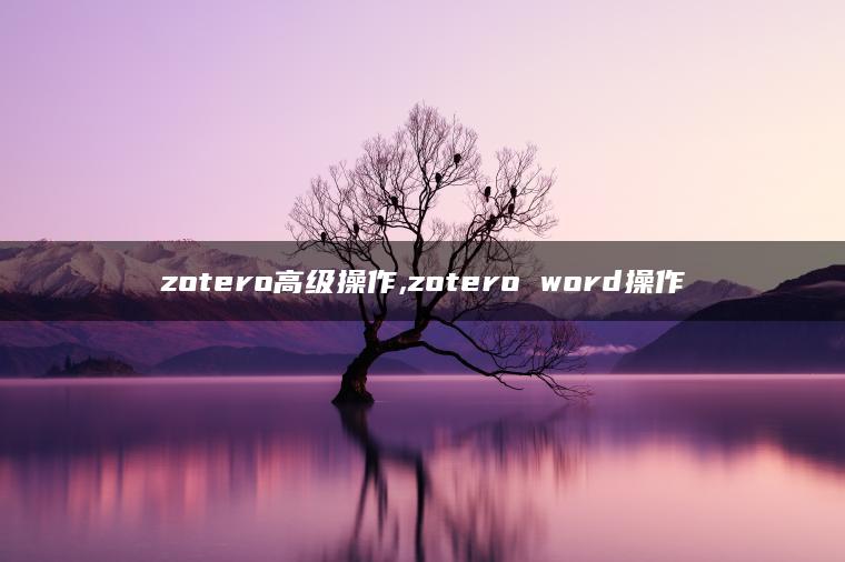 zotero高级操作,zotero word操作
