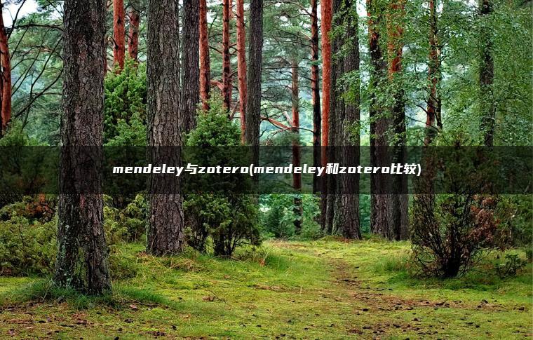 mendeley与zotero(mendeley和zotero比较)