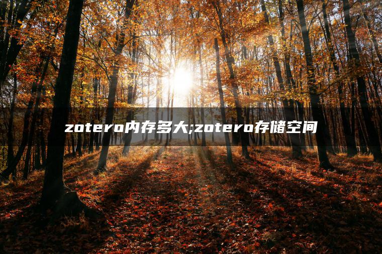 zotero内存多大;zotero存储空间