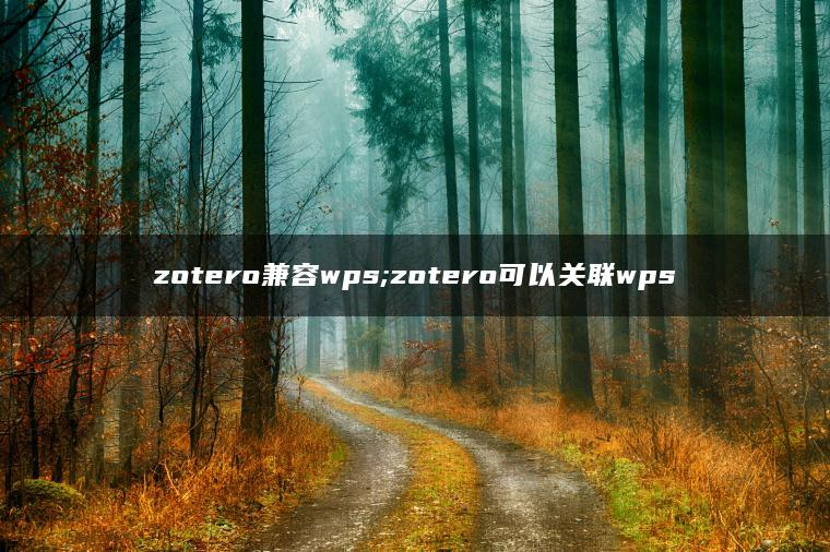 zotero兼容wps;zotero可以关联wps