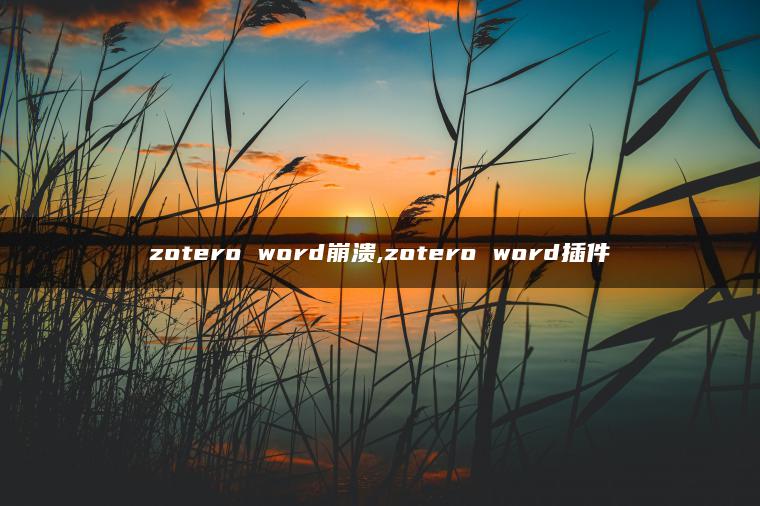 zotero word崩溃,zotero word插件