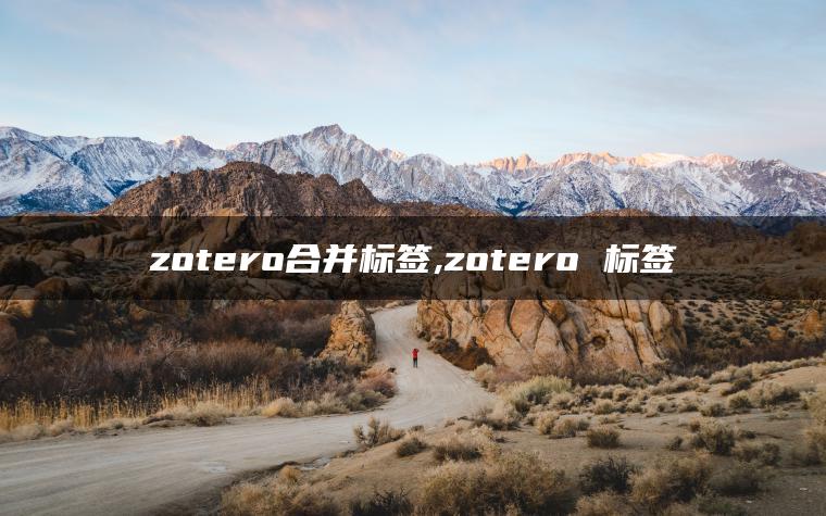 zotero合并标签,zotero 标签