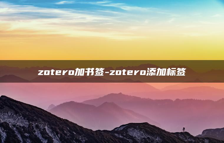 zotero加书签-zotero添加标签