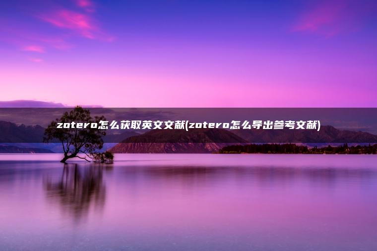 zotero怎么获取英文文献(zotero怎么导出参考文献)