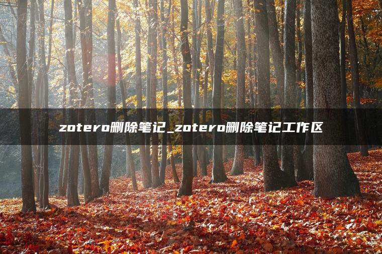 zotero删除笔记_zotero删除笔记工作区