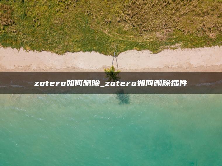 zotero如何删除_zotero如何删除插件