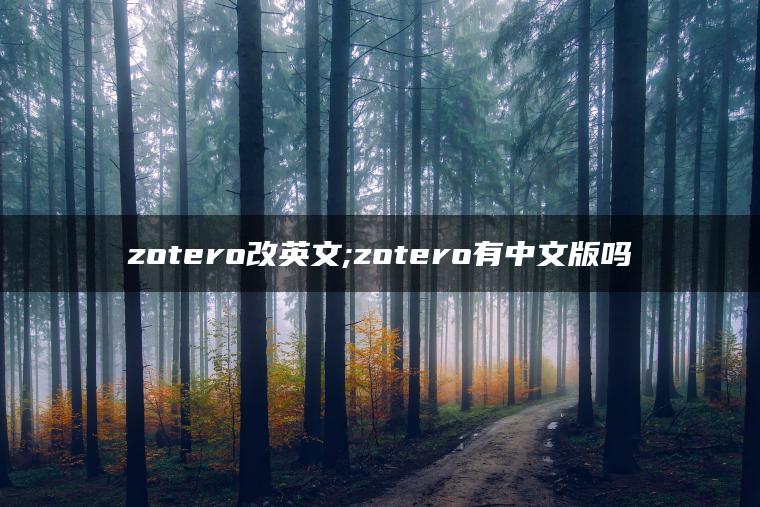 zotero改英文;zotero有中文版吗
