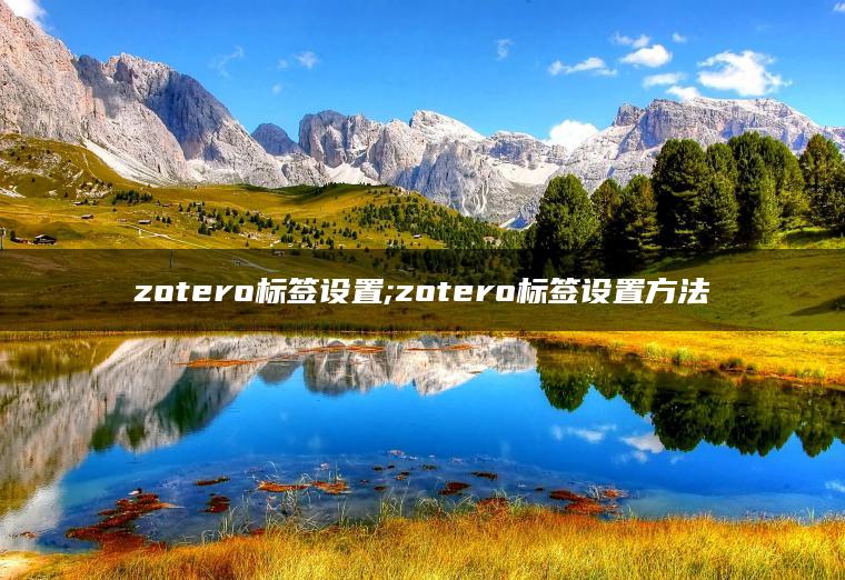 zotero标签设置;zotero标签设置方法