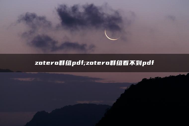 zotero群组pdf;zotero群组看不到pdf