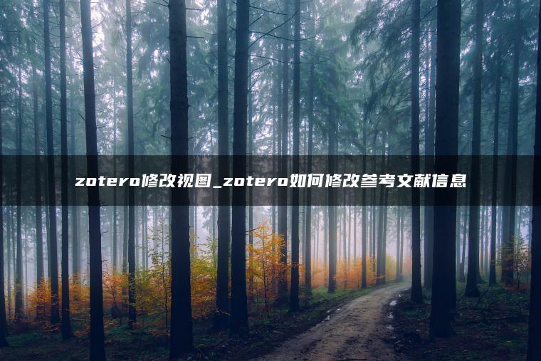 zotero修改视图_zotero如何修改参考文献信息