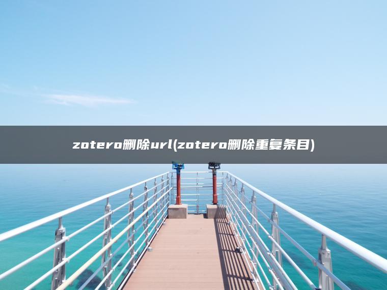 zotero删除url(zotero删除重复条目)