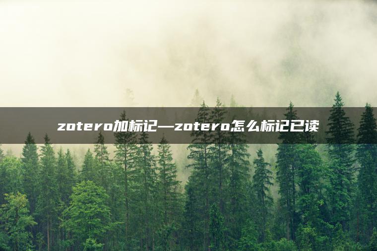 zotero加标记—zotero怎么标记已读