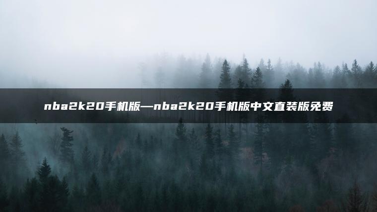 nba2k20手机版—nba2k20手机版中文直装版免费