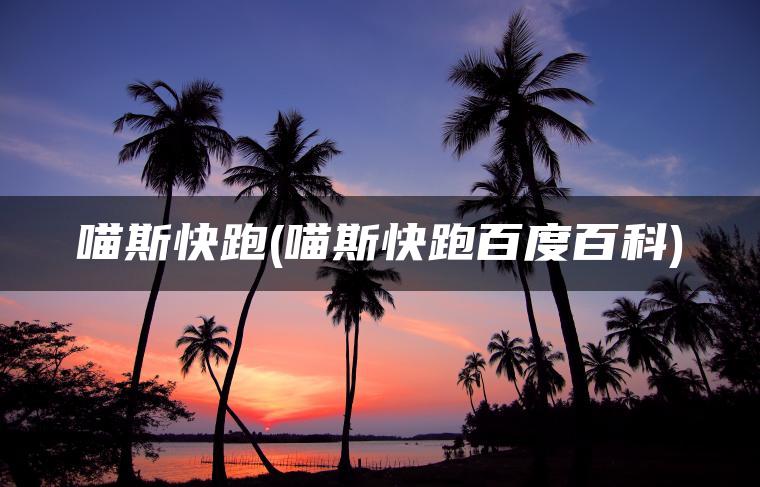 喵斯快跑(喵斯快跑百度百科)