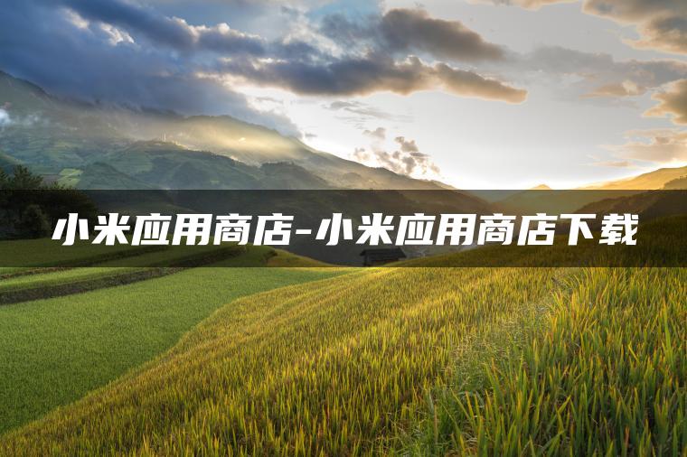 小米应用商店-小米应用商店下载